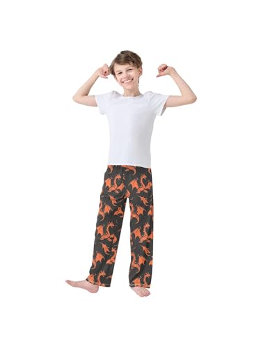 Silhouette Fire Dragon Boys Pants for Kids Jogger Pants with Pockets S3