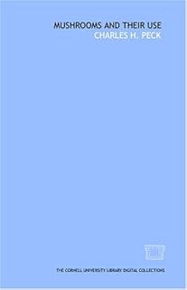 Mushrooms and their use