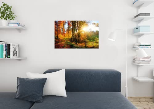 Gorgeous Forest Autumn Fall Leaves Seasons Changing Nature Landscape Panorama Photo National Mountain Park Scenic Scenery Parks Picture America Trees Map Cool Wall Decor Art Print Poster 36X24 #TOP5