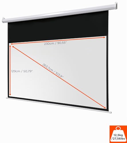 Écran de projection motorisé celexon Basic 240x135 cm pour supprimer les reflets - 3