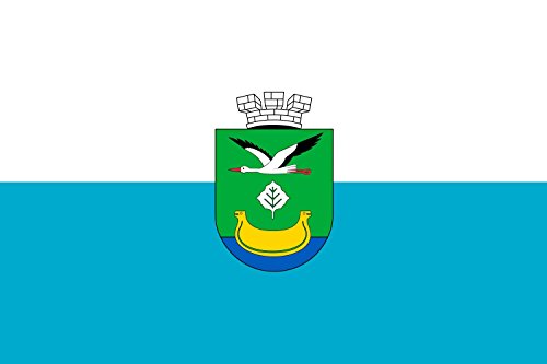 Drapeau Darnytsia district Kiev résistant aux intempéries pour mât extérieur - 2