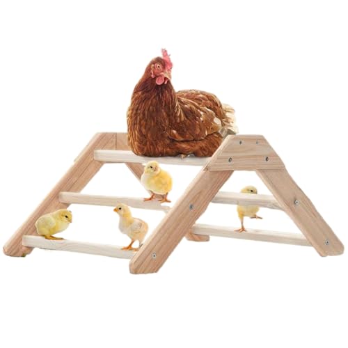 Brooder pour poussins avec échelle en bois pour volaille et perroquet - 7