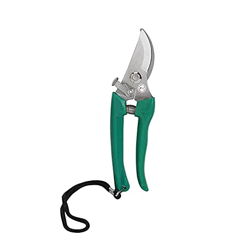 Kraft Seeds Assorted Hand Pruner Cutter – 1Pc (Steel Blades) | Heavy Duty Gardening Cutter Tool | Plant Cutter for Home Garden | Wood Branch Trimmer | Grass Cutting Accessories | Durable Stem Scissors Kraft Seeds Assorted Hand Pruner Cutter – 1Pc (Steel Blades) | Heavy Duty Gardening Cutter Tool | Plant Cutter for Home Garden | Wood Branch Trimmer | Grass Cutting Accessories | Durable Stem Scissors