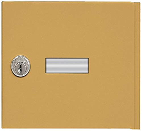 Salsbury Industries Ersatztür mit 2-Master-Schlüsselschloss für Handyspinde, Standard A, Gold Cover