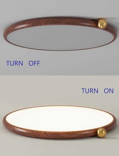 Plafonnier minimaliste à intensité variable avec télécommande