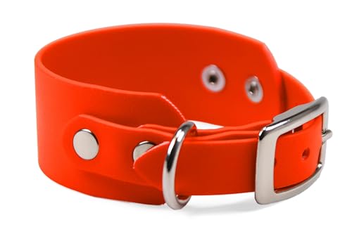 LENNIE 50mm breites Biothane Wind-Hunde-Halsband, Doppelstegschnalle, personalisiert mit Namen/Telefonnummer, schmutz-Wasser-abweisend