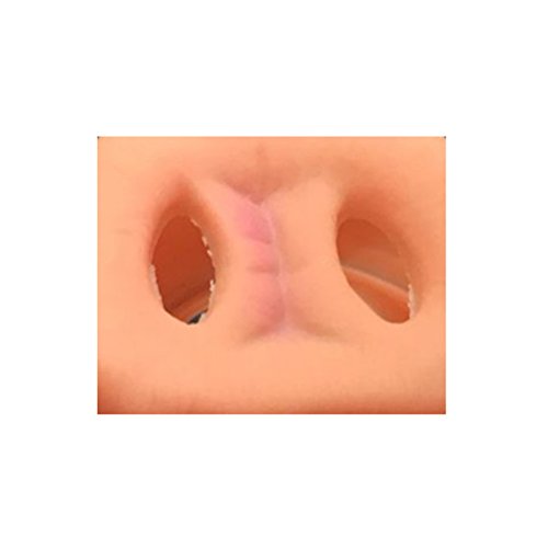 YeahiBaby Schwein Nase Maske mit Gummiband, interessante Tier Maske für Party, Satz von 2 Stück