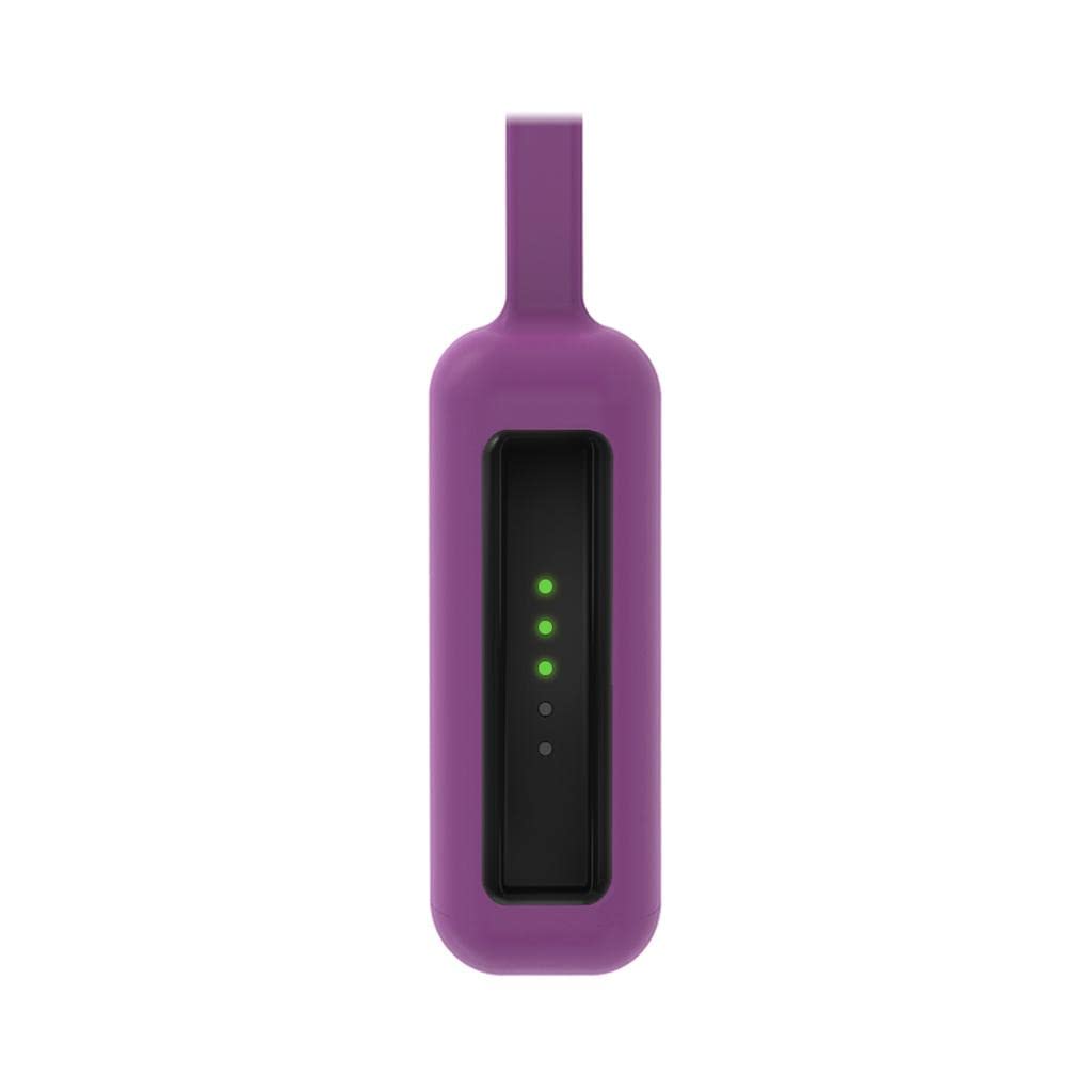 Silicone Clip Holder Magnetic for Fitbit Flex 2 Tracker Purple-image-43