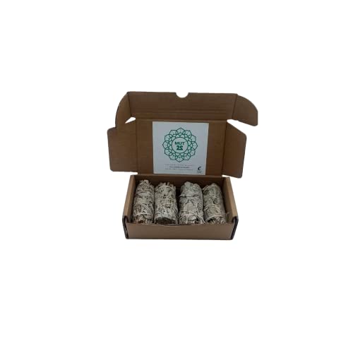 Atados Salvia Apiana Blanca para Quemar Natural y Ecológico, Sahumerio Natural y Limpiezas Energías Negativas (4 Salvias) Cover