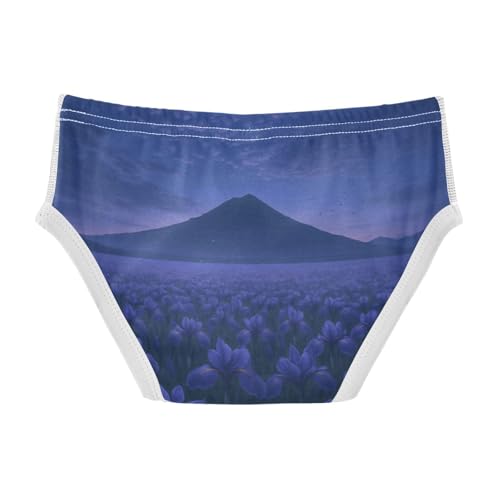 GuoChe Toddler Boy Briefs Soft Cotton in Sizes 2T,3T, 4T, 5T, 6Y and 8Y2