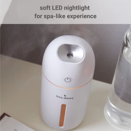 Hey Dewy Wireless, Rechargeable, Self-Care, Skin-Nourishing, Hydrating, Portable Cool Mist Humidifier (Blush) #TOP7