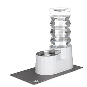 RIZZARI 8L Raised Automatic Pet Waterer Gravity fed Stainless Steel Waterer 100 BPA Free Large Capacity Feeder for Cats and Medium to Large Dogs Pearl8L