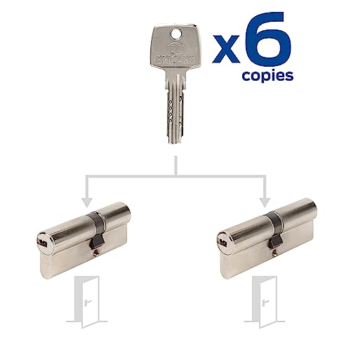 Cilindros para puertas Bricard Astral de 30x30 y 30x40 con llaves iguales 3