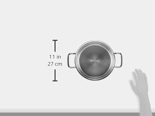 Amazon | Fissler ピュアプロフィコレクション ステンレススチール