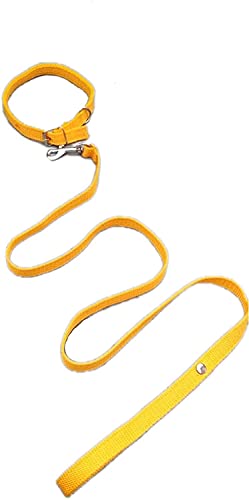 National Pet Care 1/2 INCH Yellow Designed Belt for Your Puppy, Cat & Small Dog Collar Belt, Dog Collar & Leash