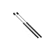 4678 Jeep Grand Cherokee Glass Lift Support Strut 1996-98, Set of 2
