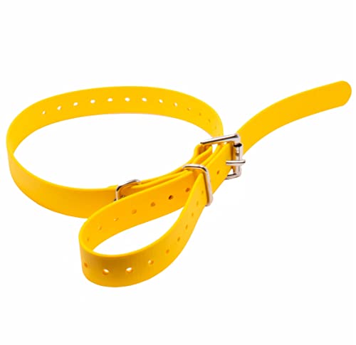 Educator Biothane Hundehalsband, wasserdicht, geruchlos, Metallschnalle und D-Ring, verstellbar für individuelle Passform, kühl und bequem, für kleine, mittelgroße oder große Hunde, 1,9 cm, Gelb