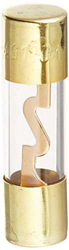 Absolute AGU100 5 Pack AGC Gold Standard Glass Fuses 100 Amp 12 Volts Car Stereo Access