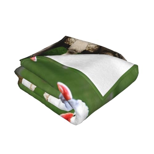 Couverture chaude flanelle motif mouton le cadeau doux parfait