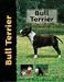 Bull Terrier