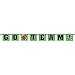 6ft Go Team Football Banner