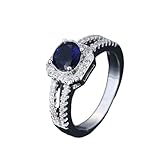 Emsione 925 Sterling Silver Plated Created Amethyst Halo Brilliant Women Men Statement Ring