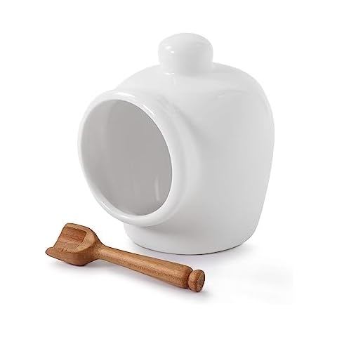 WM Bartleet & Sons Porcelain Salt Keeper Cover