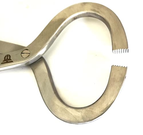 Image of Veterinary Hoof Tester 13 inch Equine Tool Stainless Steel Premium New Instruments