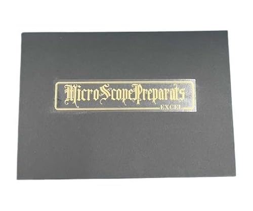 �ɉp���쏊(Shoei Work's) �����v���p���[�g�W�{�� 100���p 60101