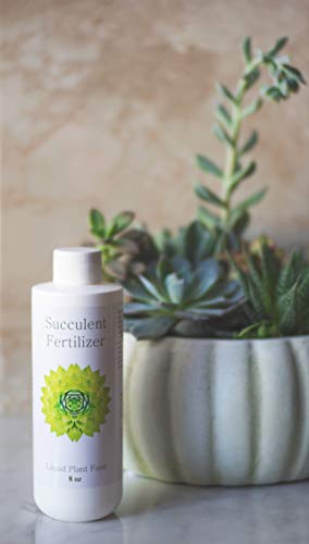 Fertilizante líquido para suculentas 8 oz Aquatic Arts miniatura 7