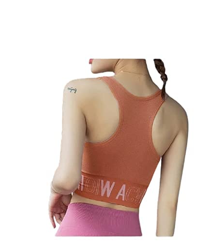 disolve Women's Cotton Padded Wire Free Regular Bra-picture-12