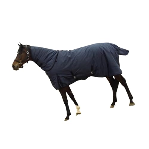 Tapis de cheval chaud et robuste 900D pour affronter l'équitation d'hiver