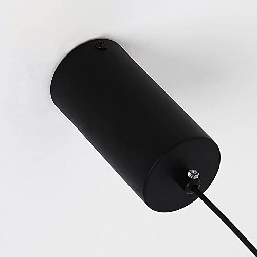 Luz colgante LED cálida ideal para renovar el ambiente de tu restaurante o barra de bar retro 3