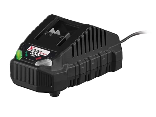 Parkside Cargador de la Serie X20V para batería Pap 20 A1