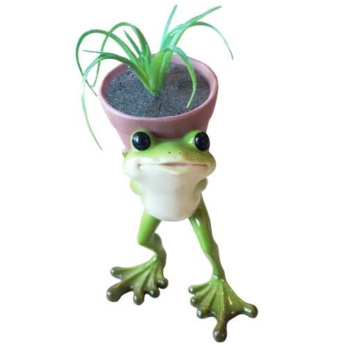 JLS Frog Cute Animal Succulent Indoor Outdoor Window Desk Cactus Flower Pot Planter Container Decor, JLS16152A