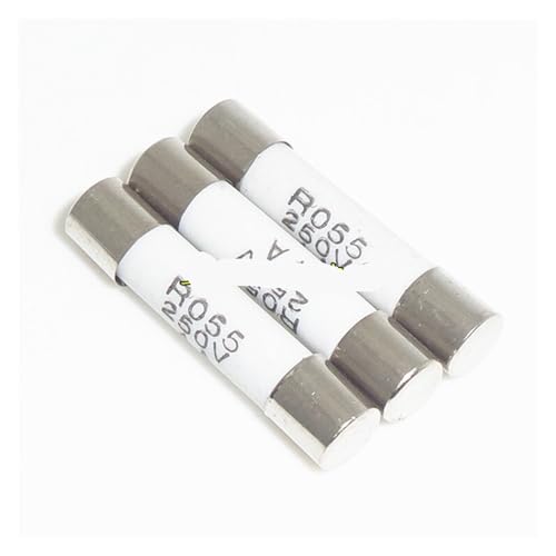 Fusible en céramique RO55 5x25mm 250V 10A 16A 20A cartouche de protection