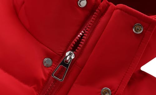 DINGDONG'S CLOSET Kid Boys Girls Winter Hooded Zipper Down Parka Puffer Jacket4