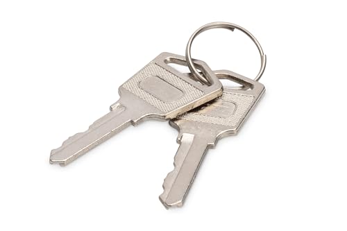 DIGITUS Ersatzschlüssel für Ladeschränke DN-45000, DN-45002, DN-45005 und DN-45006 – Zwei Stück – Silber