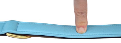 Soft Touch Collars Leather Padded Dog Collar, Large Tan With Teal Padding , Real Genuine Leather , 24" Long X 1.5" Wide , Neck Size 18" To 21" #TOP6