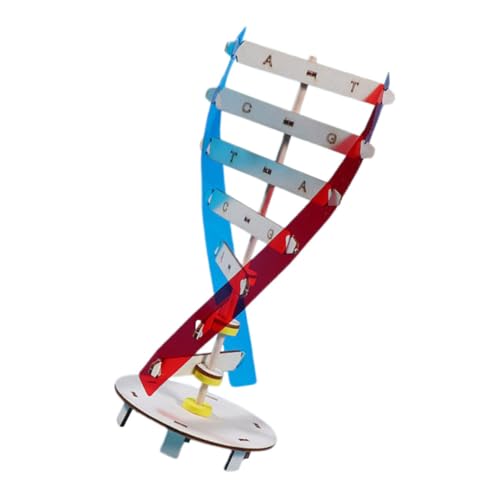 YARNOW 1 Juego Juguetes Modelo de ADN Modelo de hélice Ciencia cientifica Juguete Herramienta de Aprendizaje de Bricolaje Estructura de Doble hélice Modelos de Doble hélice Madera Vistoso