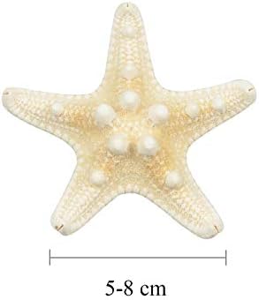 10PCS Real Starfish Mixed Ocean Beach Starfish Natural Colorful Seashell Starfish Perfect for Wedding Decor, Beach Theme Party, Home Decoration, DIY Craft Project, Fish Tank, Holiday Decoration