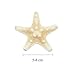 Yixuan 10PCS Estrellas de mar Estrella de mar Natural Estrella de mar...