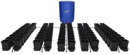 100 Single System Pot