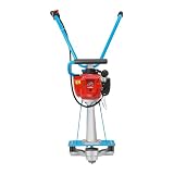 Dlinanta 35.8cc Gas Power Screed
