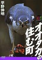 Amazon.co.jp: 平野 伸明: 本