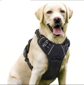 Harnais pour chien S anti-frottement pour protéger la peau sensible des petits chiens