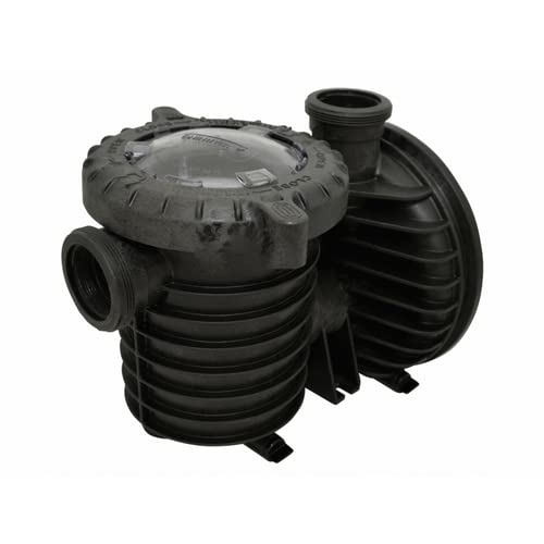 Sta-Rite 17307-0110S