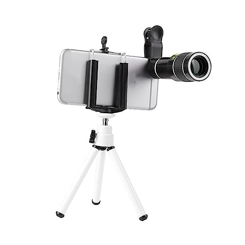 Gatuida X}[gtHp]Y { Nbv jo[TJY }NΉ Ort ACJbvt