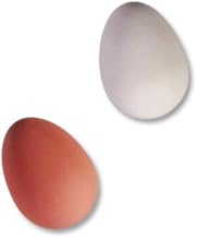 MIK Funshopping Flummi-Ei Crazy Egg - zum Verrücktwerden!
