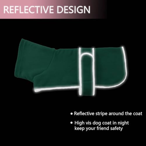 MOREZI Winterhundejacke mit wattiertem Flusenfutter, verstellbarem Klettknopf und hochklappbarem Stehkragen. Sehr gut geeignet für Dackel und kleine und mittelgroße Jagdhunde-Grün-XS